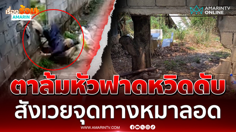 ตาล้มหัวฟาดพื้นหวิดดับ สังเวยทางหมาลอด