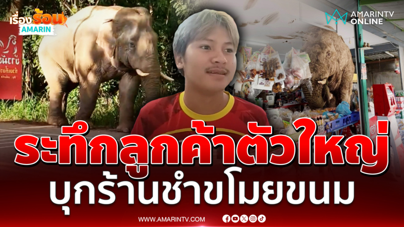 ระทึก!! ลูกค้าตัวใหญ่ “พลายเบี่ยงเล็ก” บุกร้านขายของชำ 