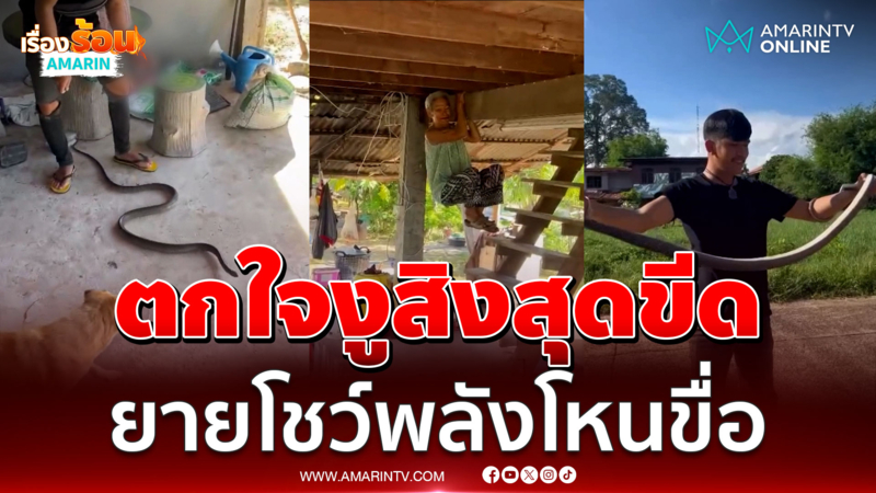 ยายตกใจงูสุดขีด โดดโหนขื่อแบบไม่คิดชีวิต