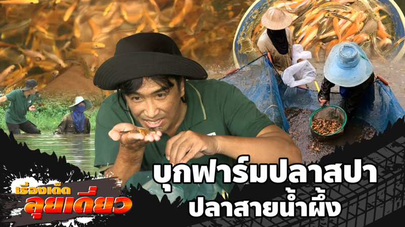 เรื่องเด็ดลุยเดี่ยว | บุกฟาร์มปลาสปา-ปลาสายน้ำผึ้ง จ.ราชบุรี