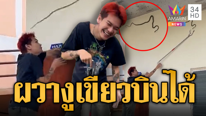 ระทึกงูเขียวพระอินทร์บินได้ อีกเคสเจองูเหลือมยักษ์แอบในรถ