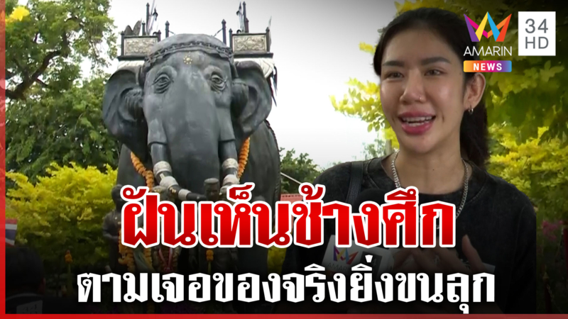ไวรัลคนดูเป็นล้าน! สาวฝันเห็นช้างศึก ตามนิมิตไปถึงวัดเจอของจริง