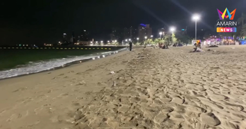 นักท่องเที่ยวผวา! แมงกะพรุนตัวเป็นๆ นับแสนเกยหาดพัทยา