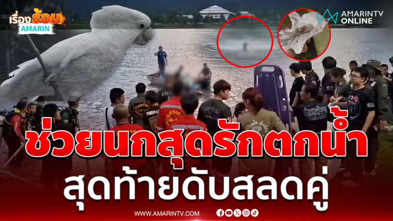 เจ้าของตามช่วย “นกกระตั้ว” ตกน้ำ  สุดท้ายดับคู่