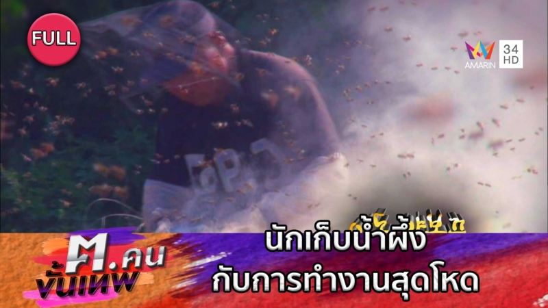 นักเก็บน้ำผึ้งกับการทำงานสุดโหด | ฅ.คนขั้นเทพ