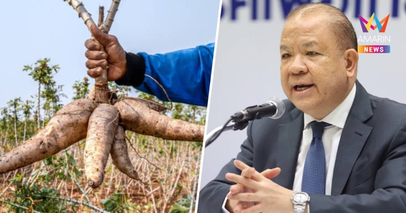 พิชัย เข้มนำเข้ามันสำปะหลังจากกัมพูชา ปกป้องเกษตรกรไทย