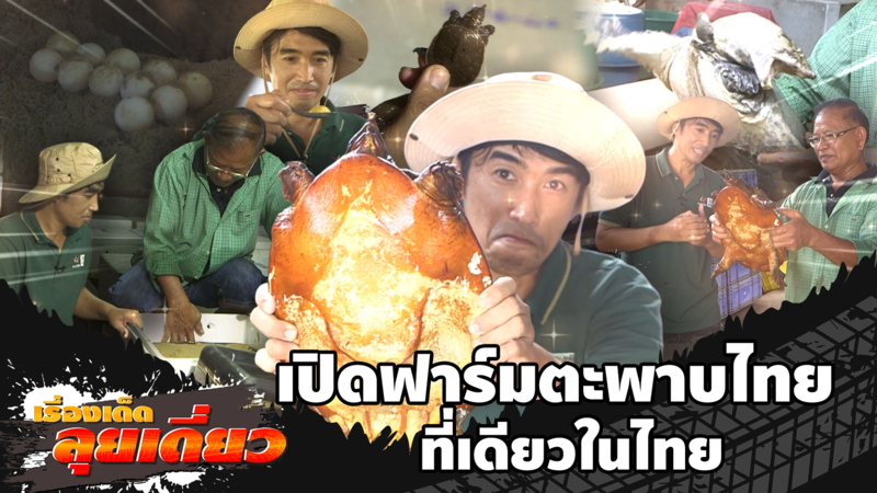 เรื่องเด็ดลุยเดี่ยว | เปิดฟาร์มตะพาบไทยที่เดียวในไทย จ.นครปฐม