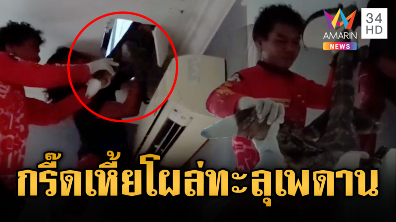 เจ้าของบ้านผวา! ตัวเหี้ยโผล่ทะลุเพดาน
