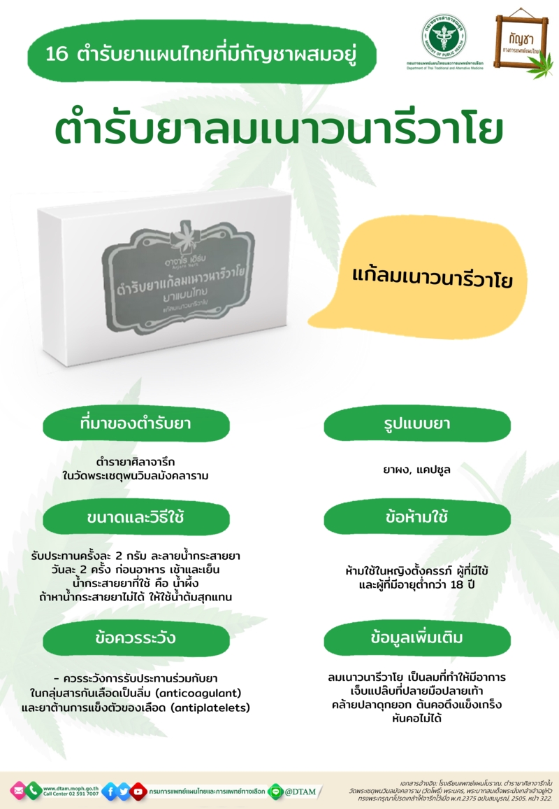 ส่องยาแผนไทย 16 ตำรับ ที่มีกัญชาเป็นส่วนผสมทางการแพทย์
