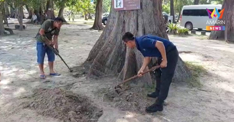 เจออีก 1 จุด! จนท.กระบีปูพรหมค้นหาวัตถุระเบิด พบฝังใต้ต้นไม้สวนสน