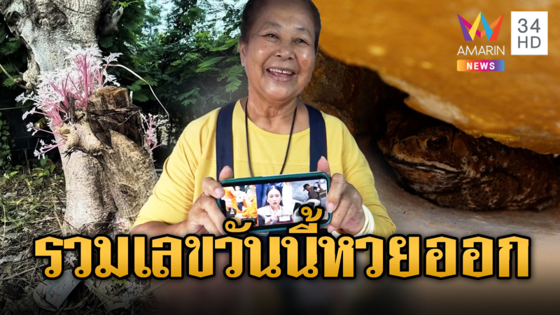 มัดรวมเลขมาให้ วันนี้หวยออก