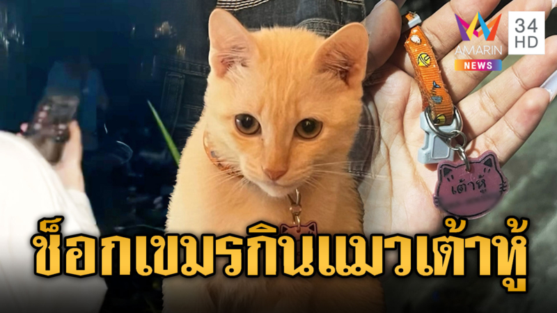 ลุงเขมรกินแมวเต้าหู้ เจ้าของช็อก