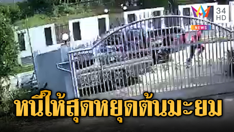 ไล่ล่าหัวขโมย ขับรถหนีพุ่งชนต้นมะยม