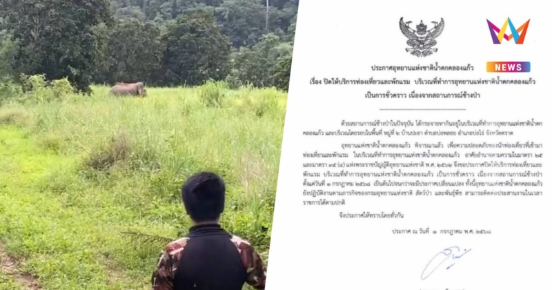 ปิดอุทยานแห่งชาติน้ำตกคลองแก้ว ชั่วคราว หลังพบช้างป่าหลายตัวใกล้ชุมชน