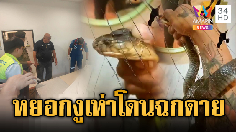 คลิปสุดท้ายเล่นกับงู โดนฉกตาย