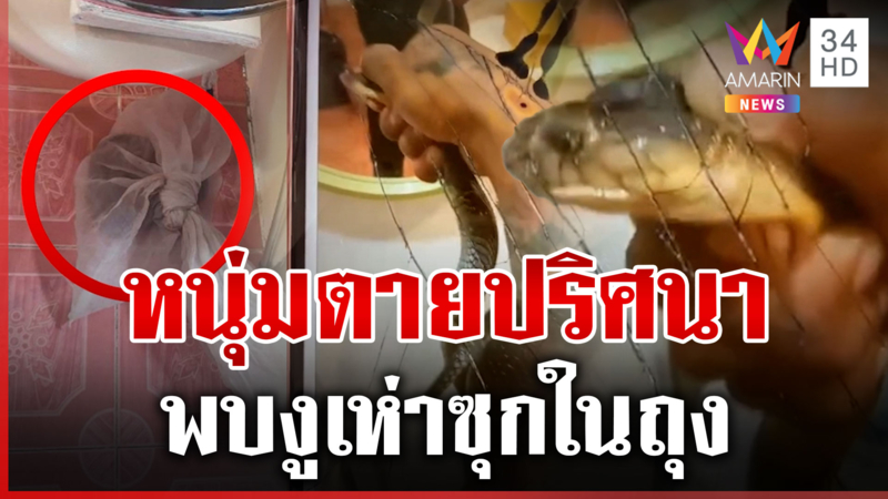 หนุ่มดับปริศนาคาโรงแรม เจองูเห่าซุกในถุง เช็กมือถือพบคลิปหยอกเล่นเพียบ
