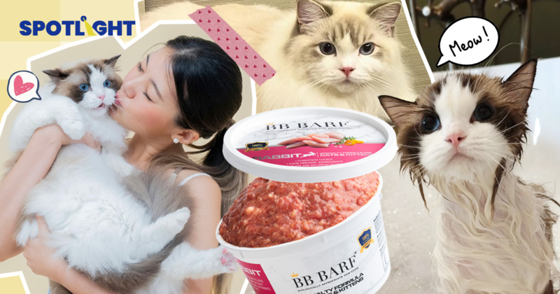 ตลาดสัตว์เลี้ยงไทยโตไม่สะดุด ทาสพร้อมเปย์ 50,500 บาท/ปี กินหรู เข้าสปา