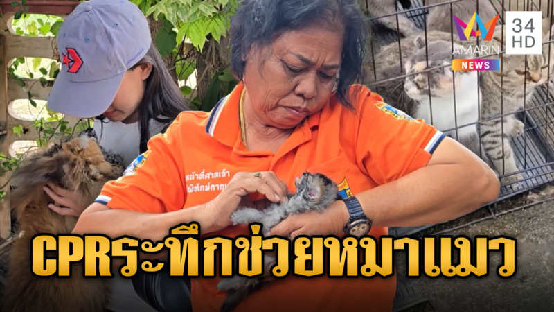 ไฟไหม้บ้านเพาะพันธุ์หมาแมวตาย 3 ร่อแร่ 2