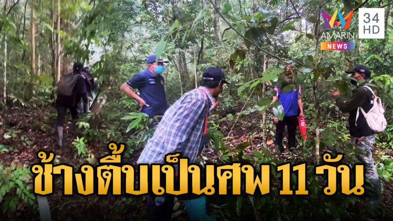 คนสวนหาย 11 วันพบเป็นศพถูกช้างเหยียบ