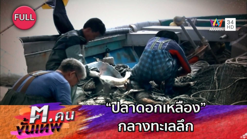 ภารกิจจับ “ปลาดอกเหลือง” กลางทะเลลึก | ฅ.คนขั้นเทพ