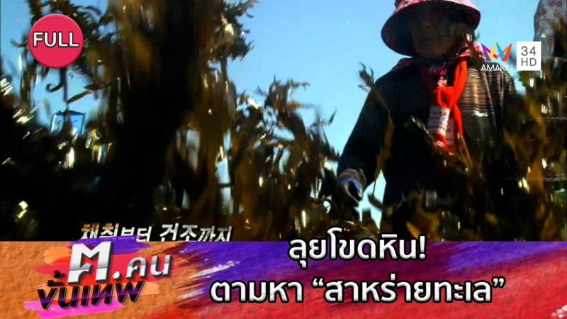 ลุยโขดหิน! ตามหา “สาหร่ายทะเล” ของดีจากธรรมชาติ | ฅ.คนขั้นเทพ