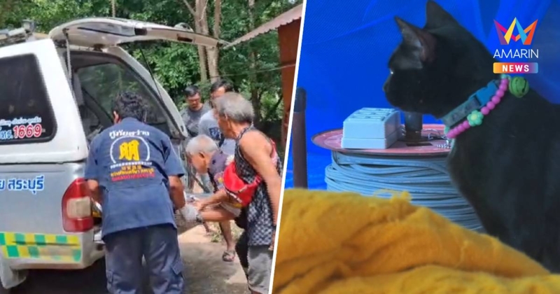 พระผู้ใหญ่มรณภาพปริศนาคากุฎิ แมวดำนอนเฝ้าไม่ห่าง