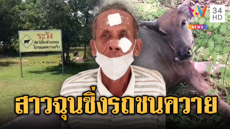 สาวขับรถชนควาย ฉุนชี้หน้าด่า-ตบเจ้าของ