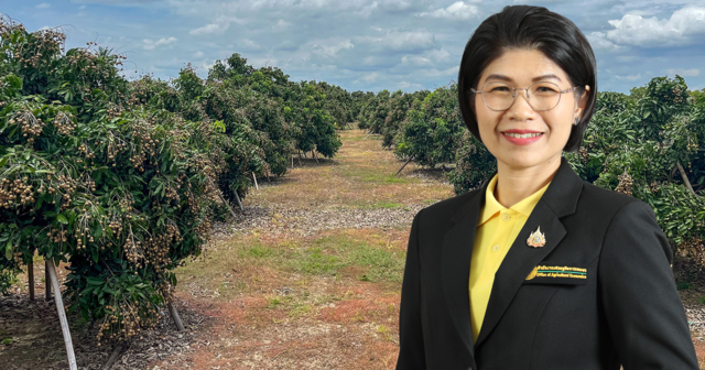 สถานการณ์ภาพรวมลำไย 8 จังหวัดภาคเหนือ ปี 2568
