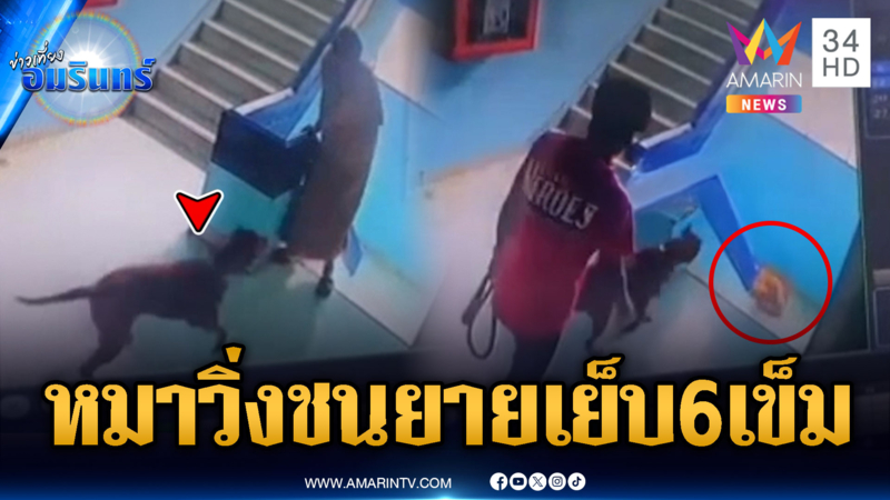 หมาหลุดวิ่งชนยายตกบรรไดหงายท้อง