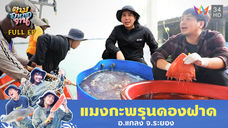 แมงกะพรุนดองฝาด อ.แกลง จ.ระยอง