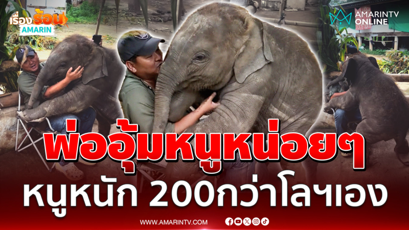 “น้องมิริน” ลูกช้างตัวน้อย หนัก 200 กว่าโลฯ อ้อนพ่อขอให้อุ้ม