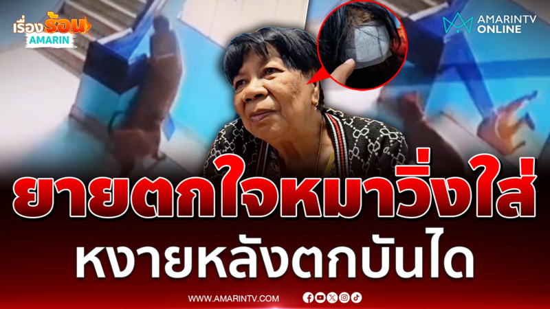 ยายวัย 76 ปี ตกใจหมาวิ่งใส่ ตกบันได 10 ชั้น หัวแตกเย็บ 6 เข็ม