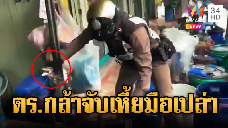 เป็นทุกอย่างให้แล้ว ตร.จับตัวเหี้ยบุกตลาด