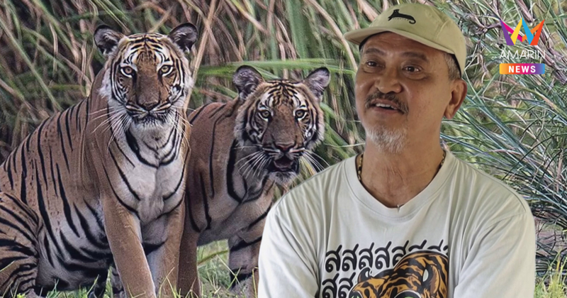 ความสุขที่สัมผัสได้ของ "คนถ่ายเสือ" ความภูมิใจที่แลกมากับความเสี่ยง