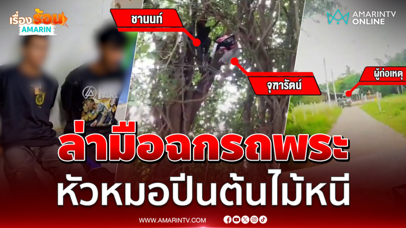ตร.ล่าระทึก หัวโขมยรถหลวงพ่อ หัวหมอปีนต้นไม้หนี