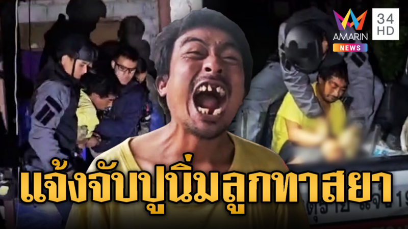 แจ้งจับปูนิ่มลูกทาสยา