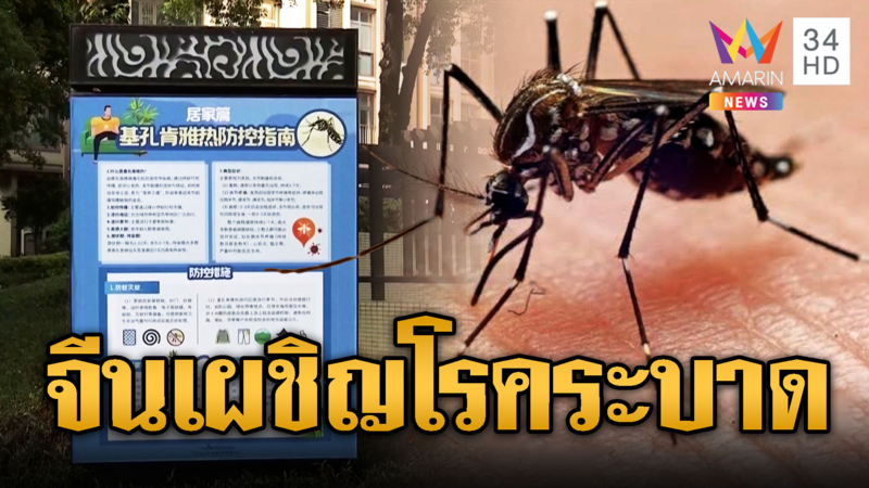  จีนเผชิญหน้าโรคระบาดชิคุนกุนยา ติดหลายพันคน