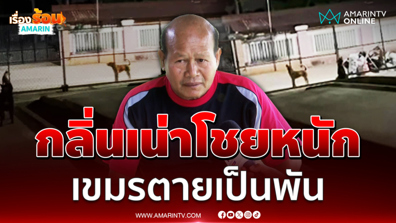 กลิ่นศพทหารเขมรเหม็นเน่า ถูกทิ้งเป็นพันราย