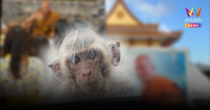 โยมแจ้งตร.ญาติพระรวยอู้ฟู่เกินเบอร์ ส่วนคดีหมอดูดังรอมาพบตำรวจ CIB