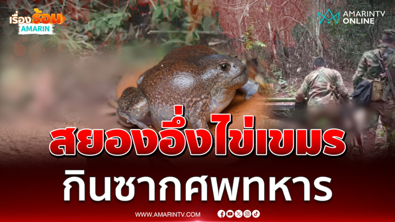 ชาวบ้านเล่าย้อนปี 54 ซื้ออึ่งไข่มาจากเขมร ผ่าท้องเจอซากศพ