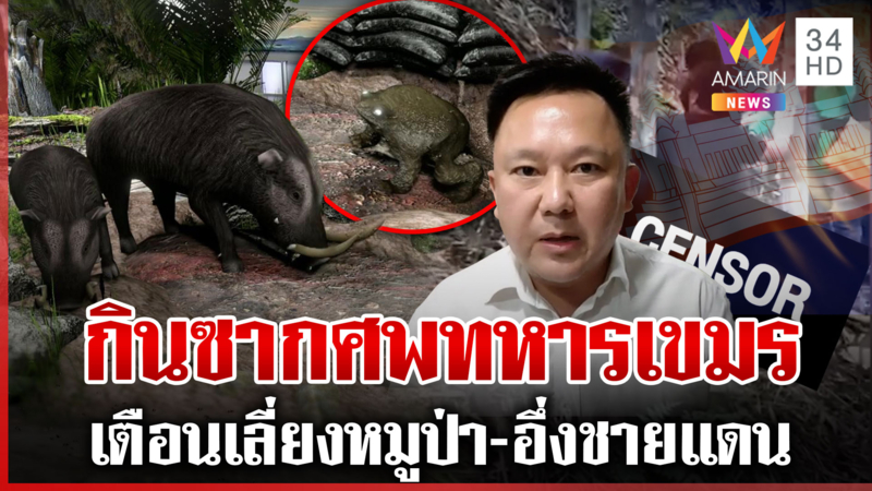 สะพัด! หมูป่า-อึ่งอ่างกินซากศพเขมร หมอแนะเลี่ยงบริโภค-ปรุงสุกก็งดก่อน