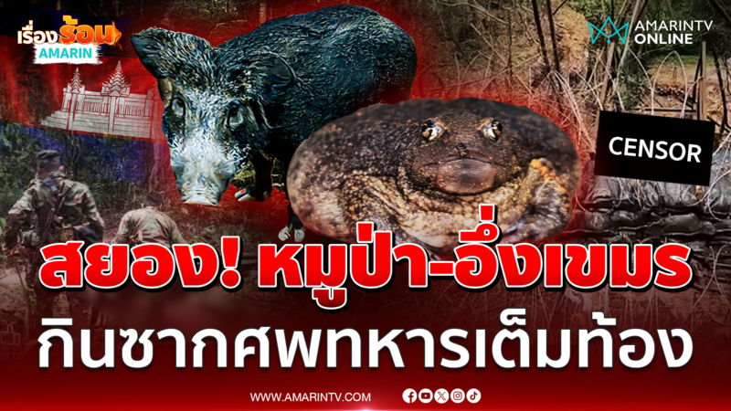 สยอง! หมูป่า-อึ่งอ่างกินซากศพทหารเขมร
