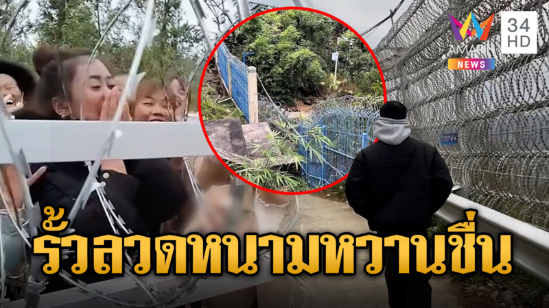 ลวดหนามเวียดนามสูง-หนา กัมพูชาแฮปปี้