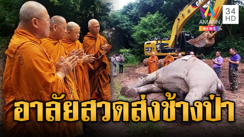 อาลัย “พลายขุนศึก” ช้างป่าถูกไฟชอร์ต พระทำพิธีสวดส่ง