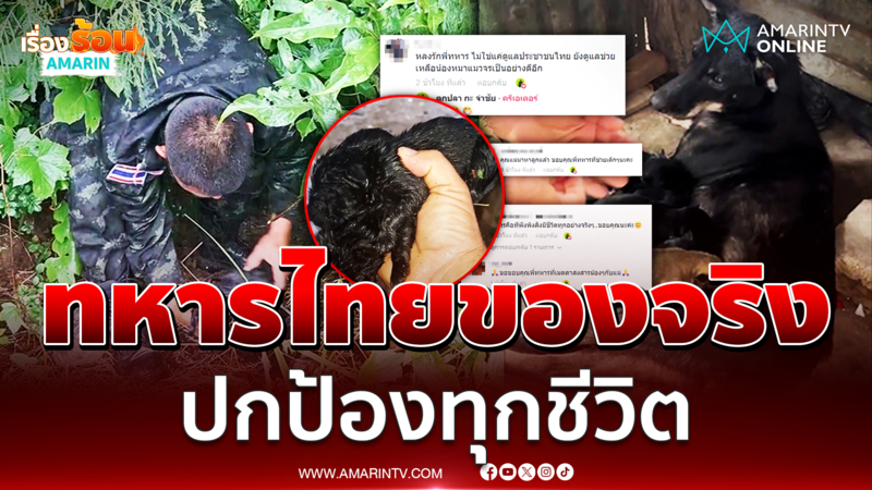 ชื่นชมทหารไทยไม่ทิ้งใครข้างหลังปกป้องทุกชีวิต 