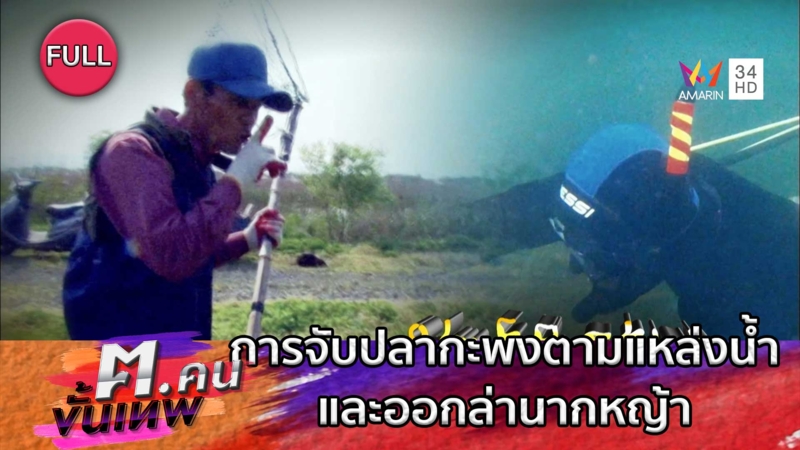 การจับปลากะพงตามแหล่งน้ำและออกล่านากหญ้า | ฅ.คนขั้นเทพ