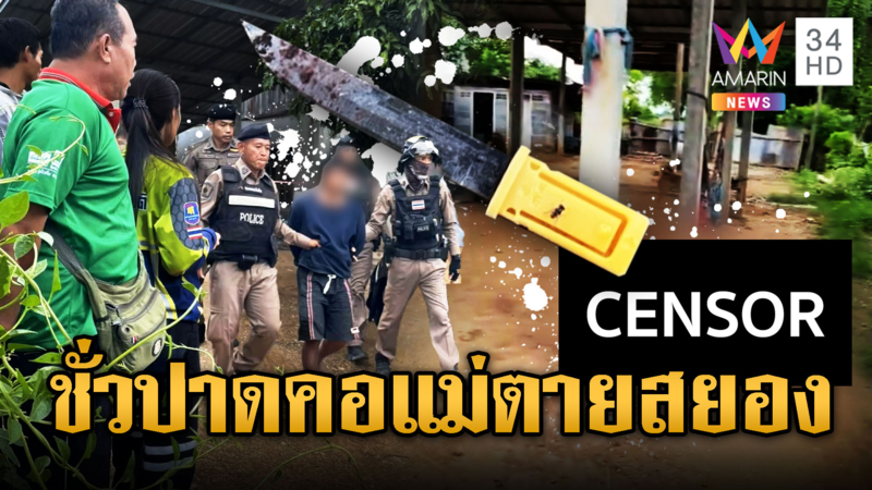 ลูกชั่วทุบหัว-ปาดคอแม่ดับต่อหน้าพระพุทธรูป ฟันชาวบ้านเจ็บ 3