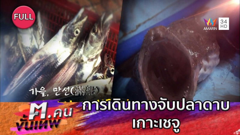 การเดินทางจับปลาดาบเกาะเชจู | ฅ.คนขั้นเทพ