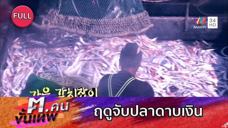 ฤดูจับปลาดาบเงิน | ฅ.คนขั้นเทพ