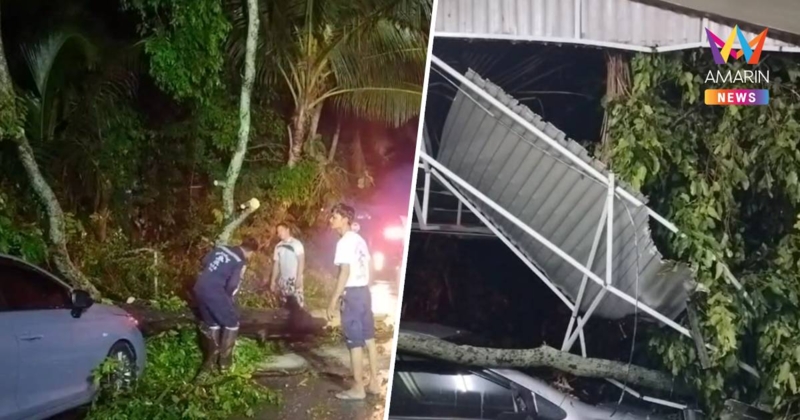 พัทลุงฝนตกหนัก พายุหมุนซัดต้นไม้หักโค่นทับรถ-บ้าน เสียหายกว่า 100 หลัง